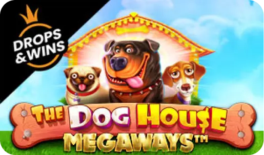 Dog House oyunu