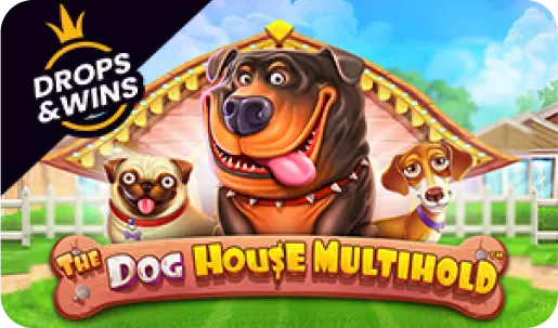 Megapari'de Dog House Multihold oyunu